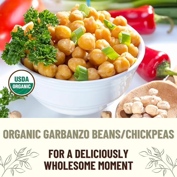 MOUNTAIN HIGH ORGANICS CERTIFIED ORGANIC DRIED GARBANZO BEANS, NON GMO, VEGAN, SPROUTABLE DRIED CHICKPEAS, PLANT BASED PROTEIN AND FIBER,1 LB (PACK OF 1)