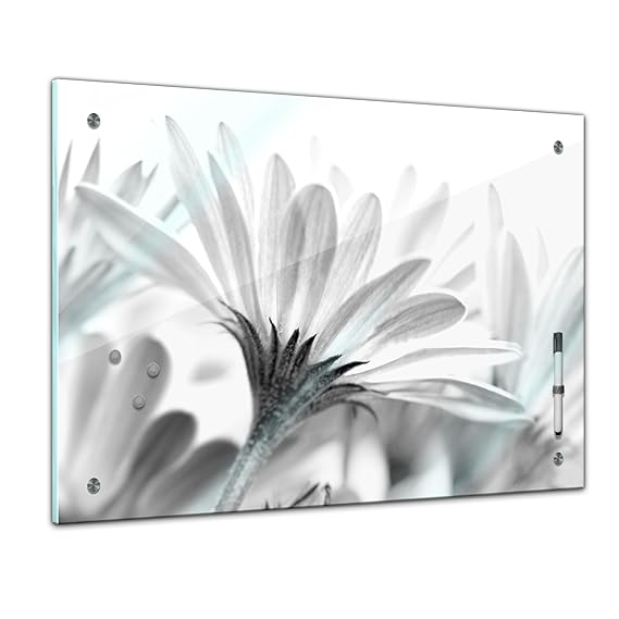 Memoboard 60 x 40 cm, Pflanzen - Blume schwarz/weiß - Memotafel Pinnwand - Blatt - Blüte - bunt - Garten - Blume - Pflanzenmo