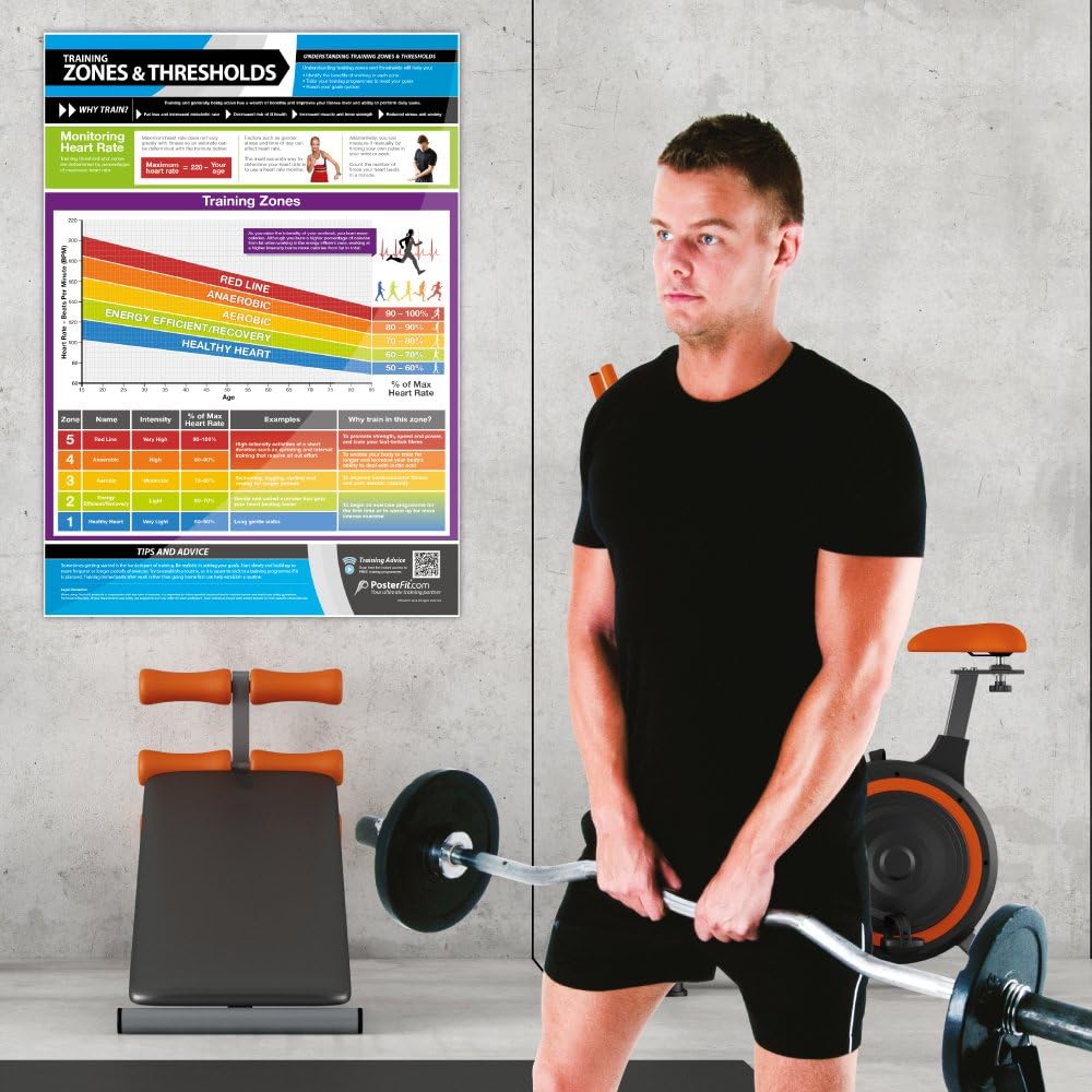 Training Zones & Thresholds, mehrfarbig - Image 4