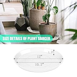 OUPSAUI Clear Plant Saucer 12 14 16 18 20 22