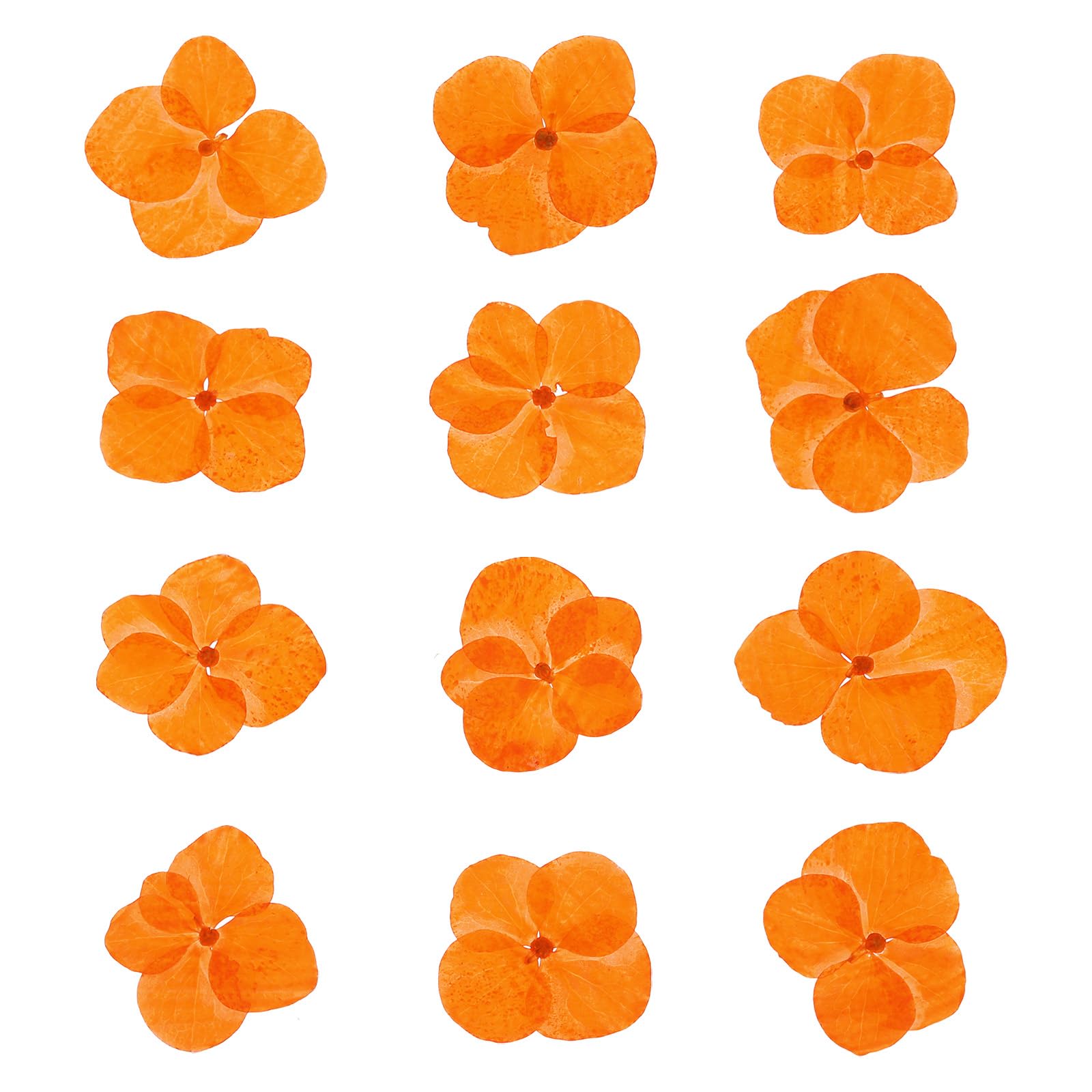 PATIKIL Dried Pressed Flower, 48 Pcs for Resin DIY Crafts Nail Art Cards Scrapbooking Jewelry Making Floral Decor Candle Decors, Orange