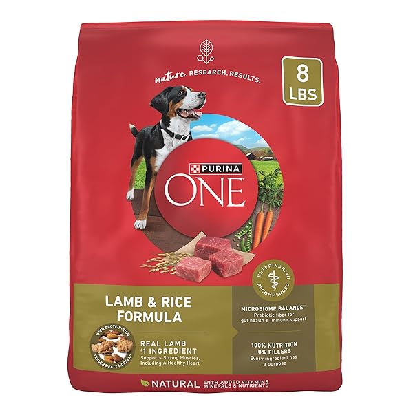 PURINA ONE DRY DOG FOOD LAMB AND RICE FORMULA – 8 LB. BAG