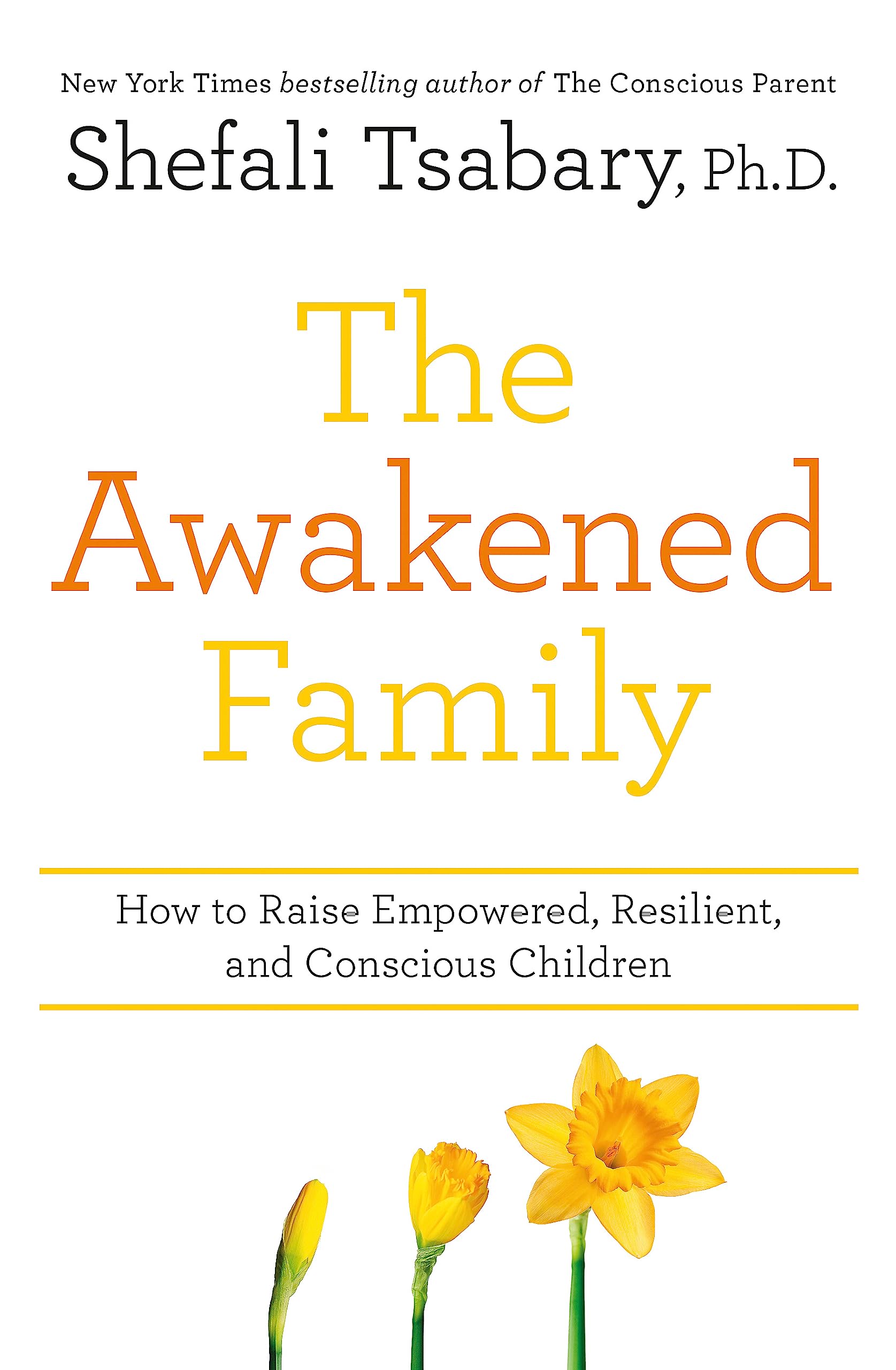 The Awakened Family: How to Raise Empowered, Resilient, and Conscious Children.