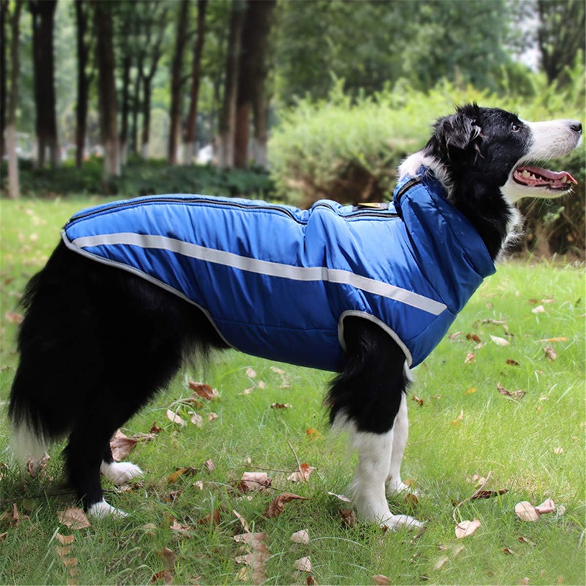 palmfox hunderegenmantel wasserdicht atmungsaktiv mantel winterjacke haustier weste veste regenjacke fur kleine mittlere grosse hunde mit bauchschutz regenjacken haustier perunanovaconsciencia cat