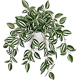 Briful Fake Plants Indoor Artificial Potted Silk Plants Faux Watermelon Peperomia Cascading Vine Plant for Home Office Livingroom Desk Shelf Mantle Decoration(Green/White - 1 Pack)