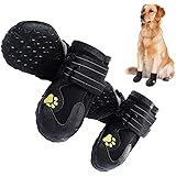 ultimate trail boot for dogs