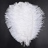 LONDGEN 5pcs Ostrich Feathers