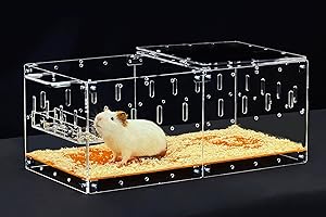 GuineaLoft™ Acrylic Cage (Model-P2) - Small 2x1 ft Enlosed Cage w/Lid & Bottom for a Single Guinea Pig or Hamsters, Connectable, DIY Extendable - Visit The Guinea Loft Store to See It All
