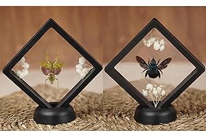 VINATIMES 2 Real Mantis Blue Bee Insect Beetle Bug Frame Taxidermy Dried Specimen Entomology Curiosities Crystal Shelf Shadow Box Display Oddity Witchy Gift Hanging Display Table Wall Home Decor PL-6162