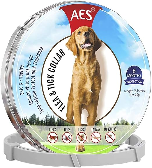 the best flea collar for dogs