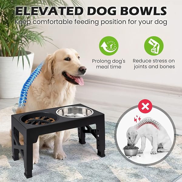 ELEVATED DOG BOWLS 5 ADJUSTABLE HEIGHT, 2 STAINLESS STEEL BOWLS, 1 SLOW FEEDER
