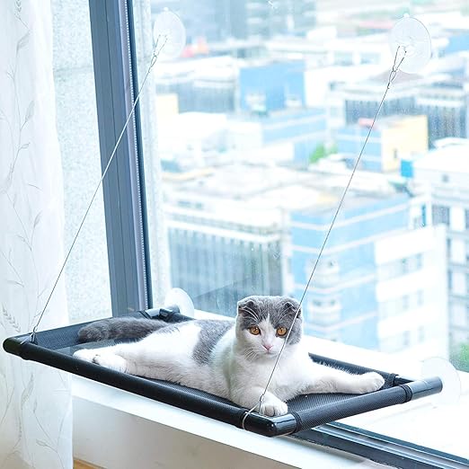 window mounted perch for cats