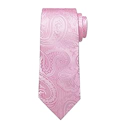 DiBanGu Silk Paisley Ties for Men Woven Necktie and