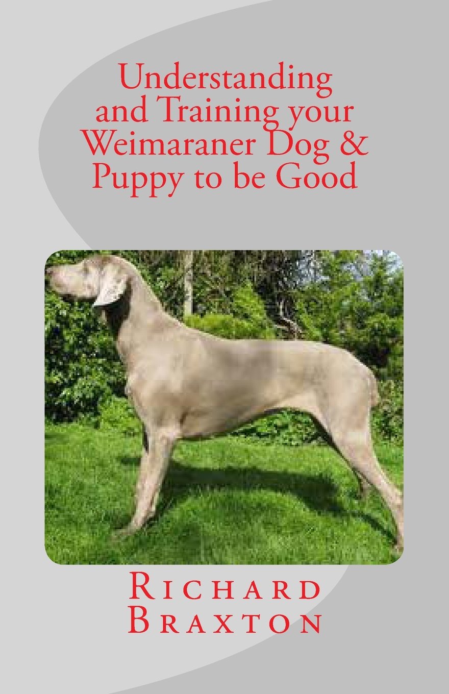 weimaraner crate training