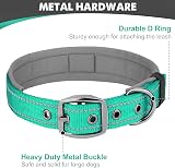 Joytale Reflective Dog Collar Medium Teal Neoprene Padded Heavy Duty Buckle view 5