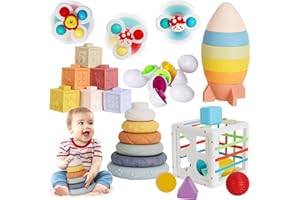 DULSAERA Baby Toys 6-12 Months 6 in 1 Montessori Set Toys for 1 Year Old Educational Sensory Toys for Toddlers Age 12 to 18 Months Developmental Learning Toy Infant Birthday Gifts for Boys Girls Babies