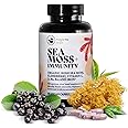 HAPPY FOX Irish Sea Moss Capsules with Sambucus Black Elderberry - Immune Support Vitamins C, D3, B9, B12, Iron, Organic Seamoss Pills, USA Made