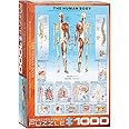 EuroGraphics Human Body Puzzle (1000-Piece)