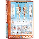 EuroGraphics Human Body Puzzle (1000-Piece)