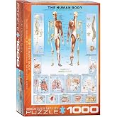 EuroGraphics Human Body Puzzle (1000-Piece)