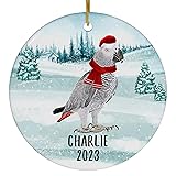 Santa Hat and Scarf Welcome Winter African Grey