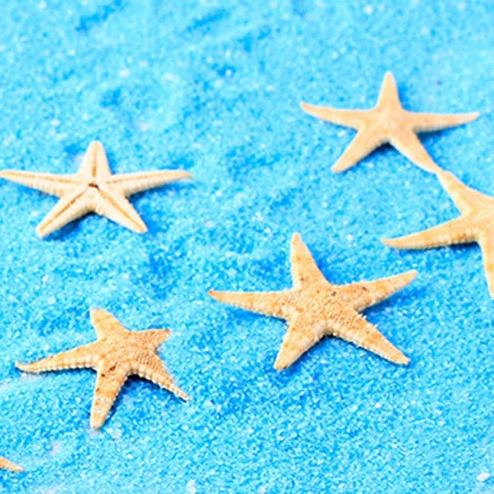 DAWEIF Wholesale 20pcs Mini Starfish Sea Star Aquarium DIY Craft Wedding Home Decor Landscape Craft