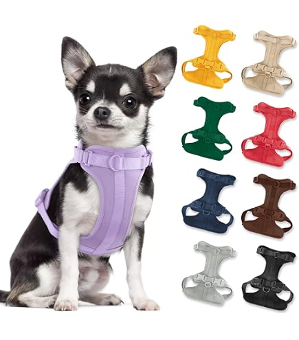 Wild One No-Pull Dog Harness - Soft Padded Vest With 3 Leash Clips, Adjustable, Stretchy, For Small To Large Dogs (Moss Green, Small)