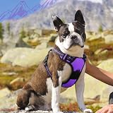 Eagloo Dog Harness Medium No Pull Front Back Clips Reflective Purple M view 9