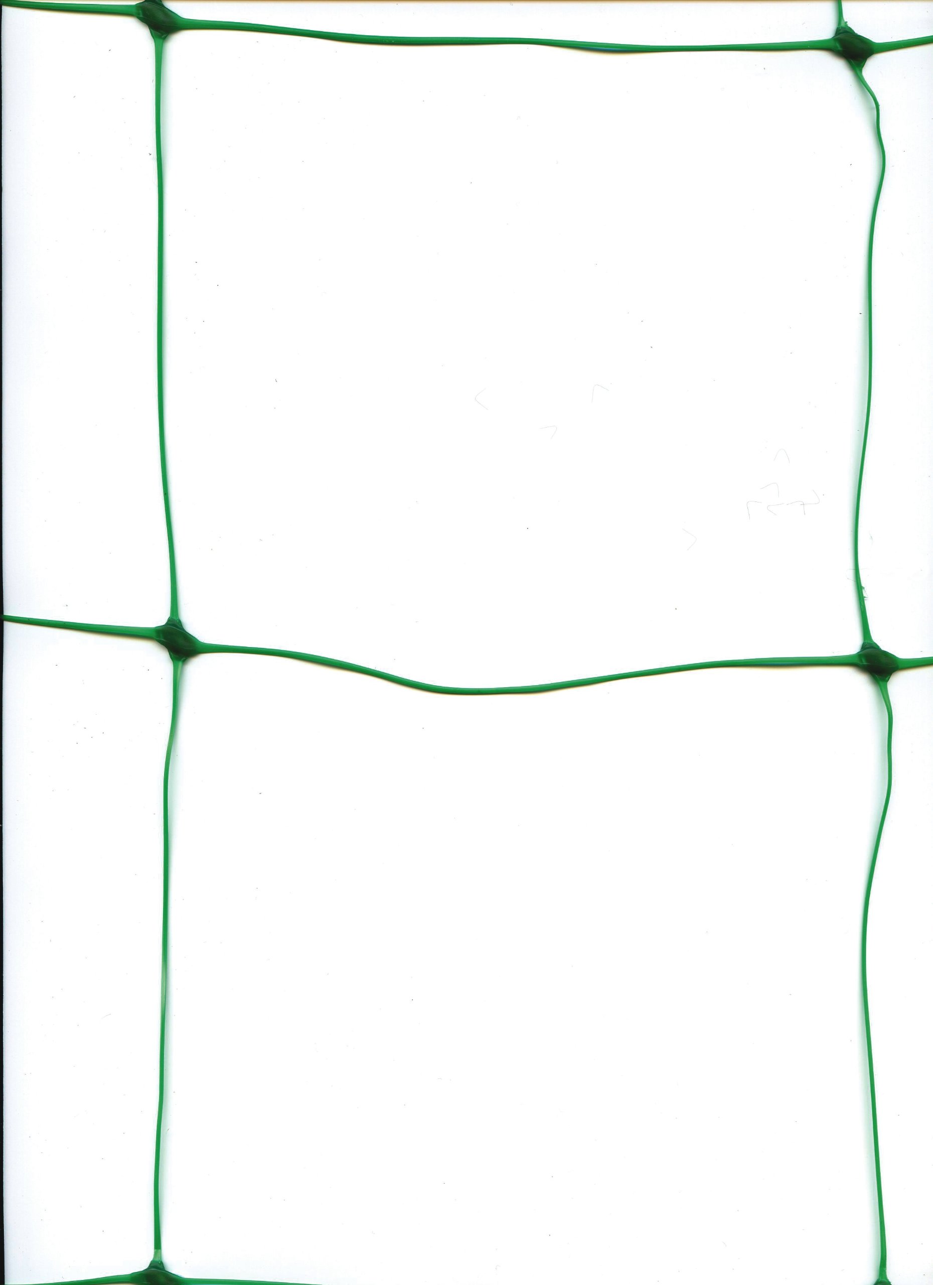 Greenfingers Pea and Bean Net 10m x 2m