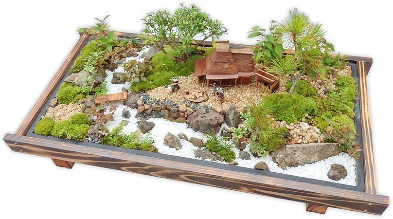 Amazon 盆栽 ミニ庭園 盆景 薪割り L あるまま 観葉植物