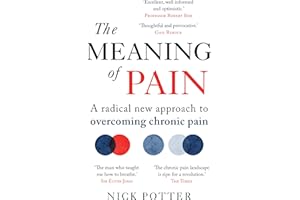 The Meaning of Pain: A radical new approach to overcoming chronic pain