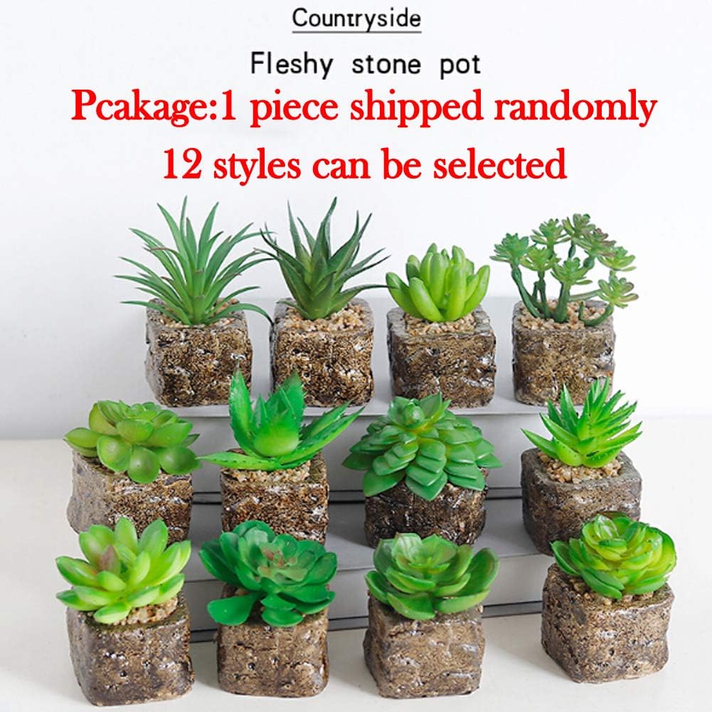 SELUXU 12 Styles Mini Artificial Succulent Plants Decorative Cactus