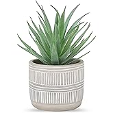 Der Rose 8.5" Fake Succulent Plant in Striped Ceramic Pot for Boho Decor | Small fake plants,sturdy cement planter, eco-frien