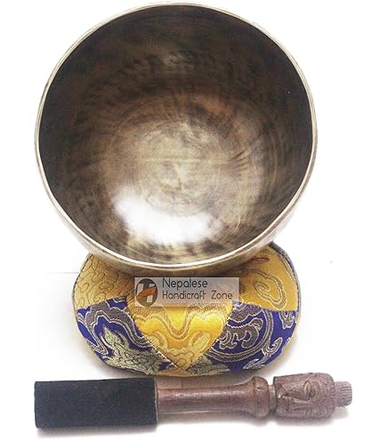 DECHOUS Lot De 2 Poignées à Ventouse Pour Bol Chantant Pour