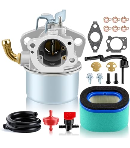 Amazon.com: 215434 Carburetor For Craftsman for Briggs and