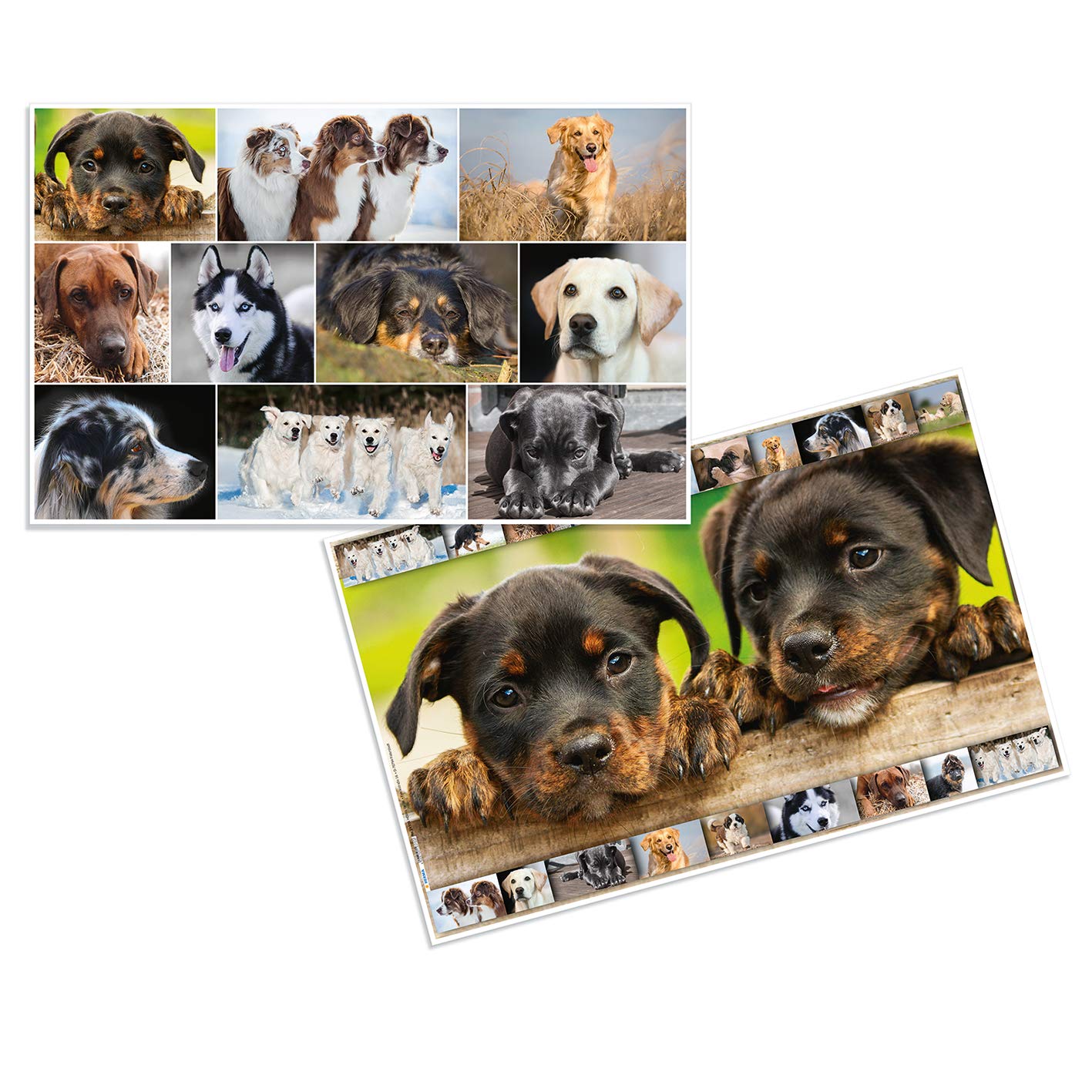 Herma 19378 Desk Mat Non-Slip (55 x 35 cm/Dogs, Motif On Both Sides, for Children 1 Mat Format 55 x 35 cm Dog