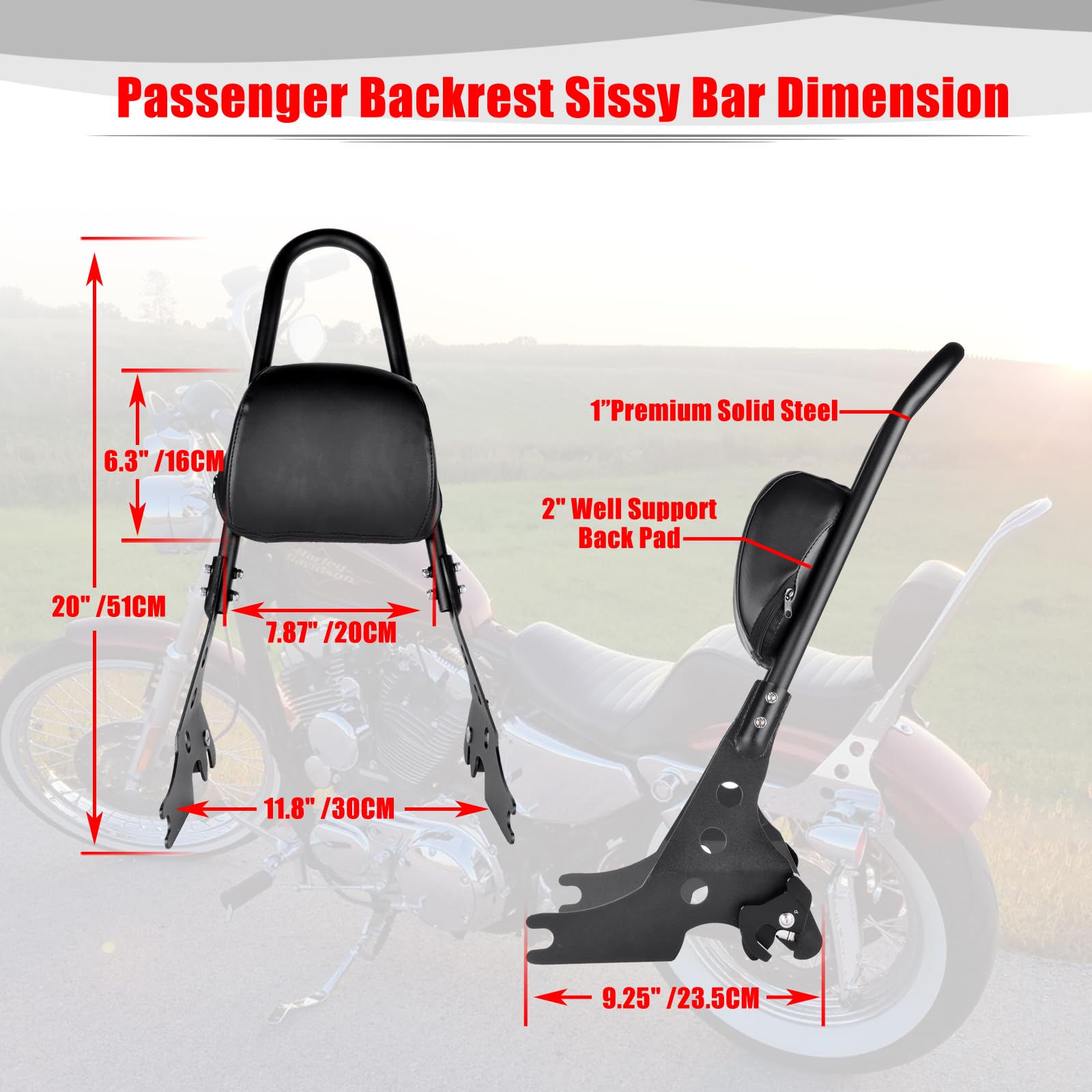 Mua Goldfire Motorcycle Sissy Bar Detachable Rear Passenger Upright ...