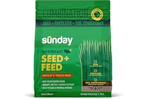 Sunday Northeast Seed + Feed - Grass Seed, Soil Conditioner, & Fertilizer Mix - Northeast Lawn Seed with Tall Fescue, Fine Fescue & Tetraploid Ryegrass - 9-0-2 NPK - Covers 1,500 sq. ft. - 10lbs
