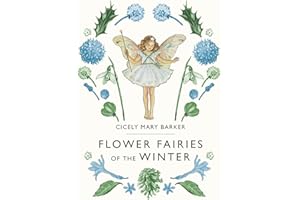 Flower Fairies of the Winter