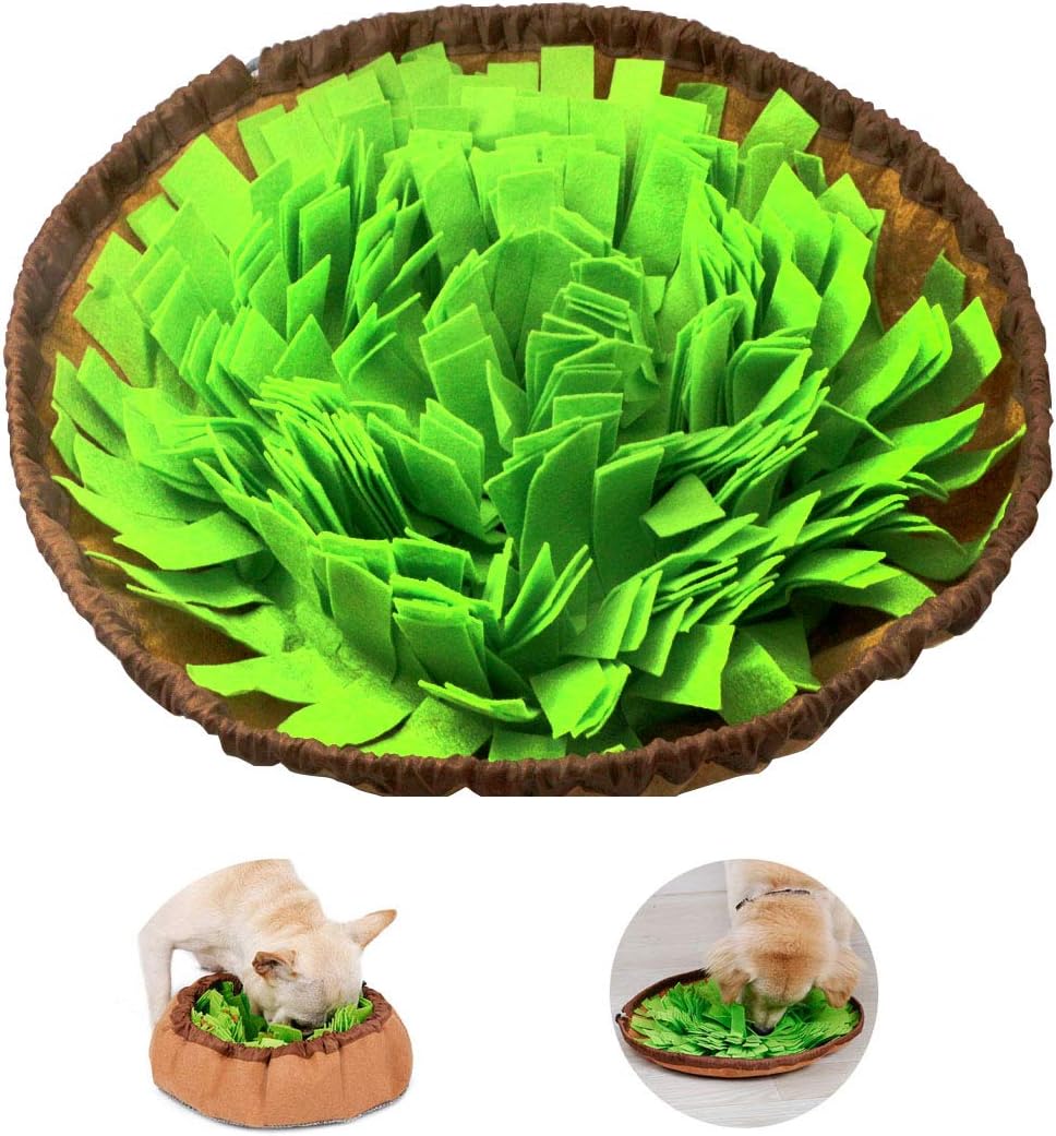 ciotola intelligente per animali domestici