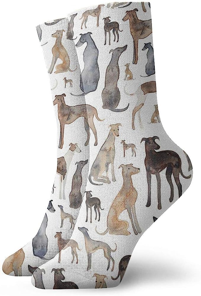 QMS CONTRACTING LIMITED Greyhounds, Wippets And Lurcher Dogs! Painting Classics Compression Socks Athletic Long Crew Socks For Men Women 11.8inch(30cm)
