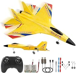 RoofWorld RC Plane Remote Control Glider Airplanes