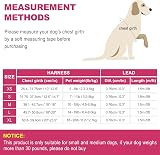 haapaw Dog Harness and Lead Set No Pull Adjustable Reflective Step-in Vest view 7