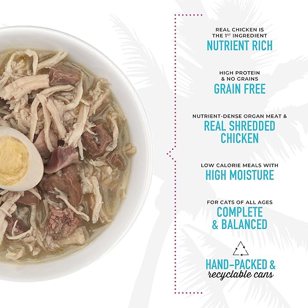 TIKI CAT AFTER DARK, CHICKEN & QUAIL EGG, HIGH-PROTEIN AND 100% NON-GMO INGREDIENTS, WET CAT FOOD FOR ADULT CATS, 5.5 OZ. CAN