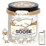 Positive Goose Jar with 60 Affirmation