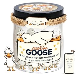 Positive Goose Jar with 60 Affirmation
