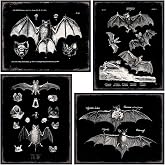 Black Bats Gothic Wall Decor - Vintage Retro Wall Art & Decor - Room or Home Decor - Hipster decoration - Horror Vampire bat Gift - Creepy Scary Anatomical Picture Poster print Set 8x10 UNFRAMED