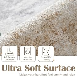 jinchan Area Rug 2x3 Washable Rug Doormat Modern