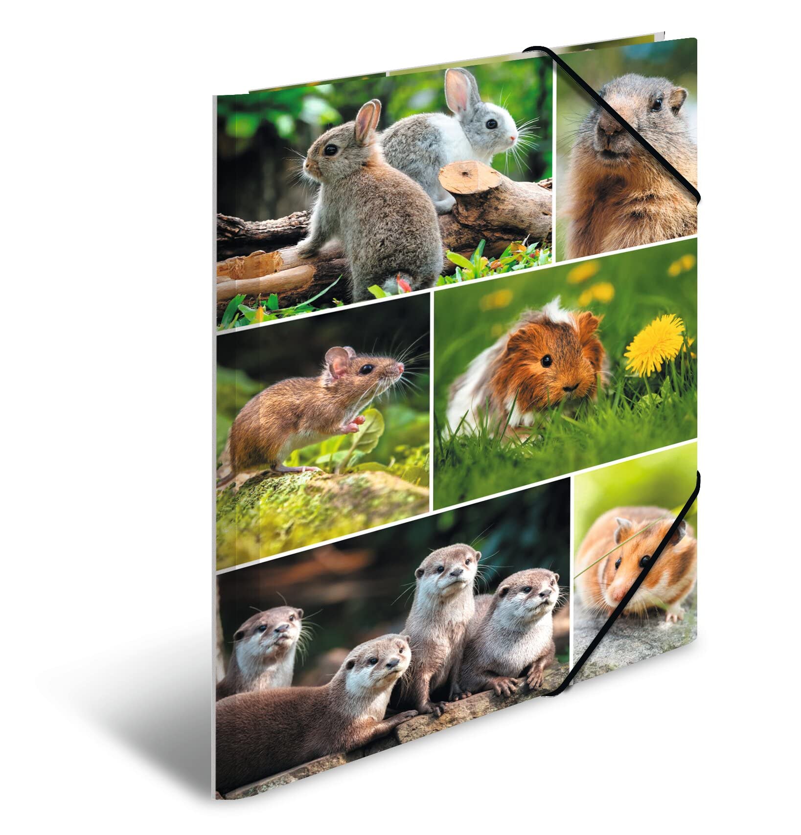 HERMA 19343 Portfolio Folders A4 Animal Worlds Rodents, Pack of 3, Children's Cardboard Corner Folder with Inner Print and Elastic Band, Sturdy Cardboard Folders Set for Boys and Girls