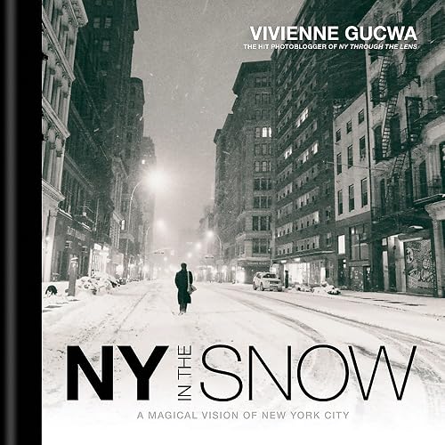 Download New York In The Snow PDF